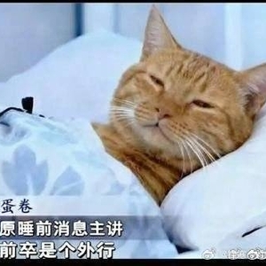 请输入相册名称