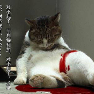 请输入相册名称